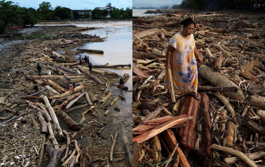 Gelondongan Misterius Terbawa Banjir di Sumatera Menguak Dugaan Penebangan Liar