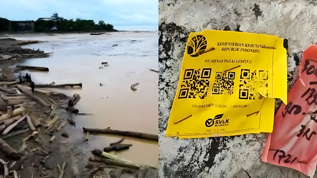 Ribuan Kayu Gelondongan Berlabel Kemenhut