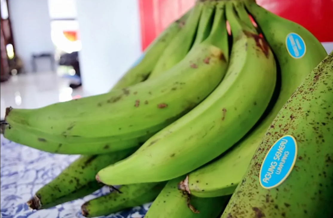 Pisang Agung Lumajang
