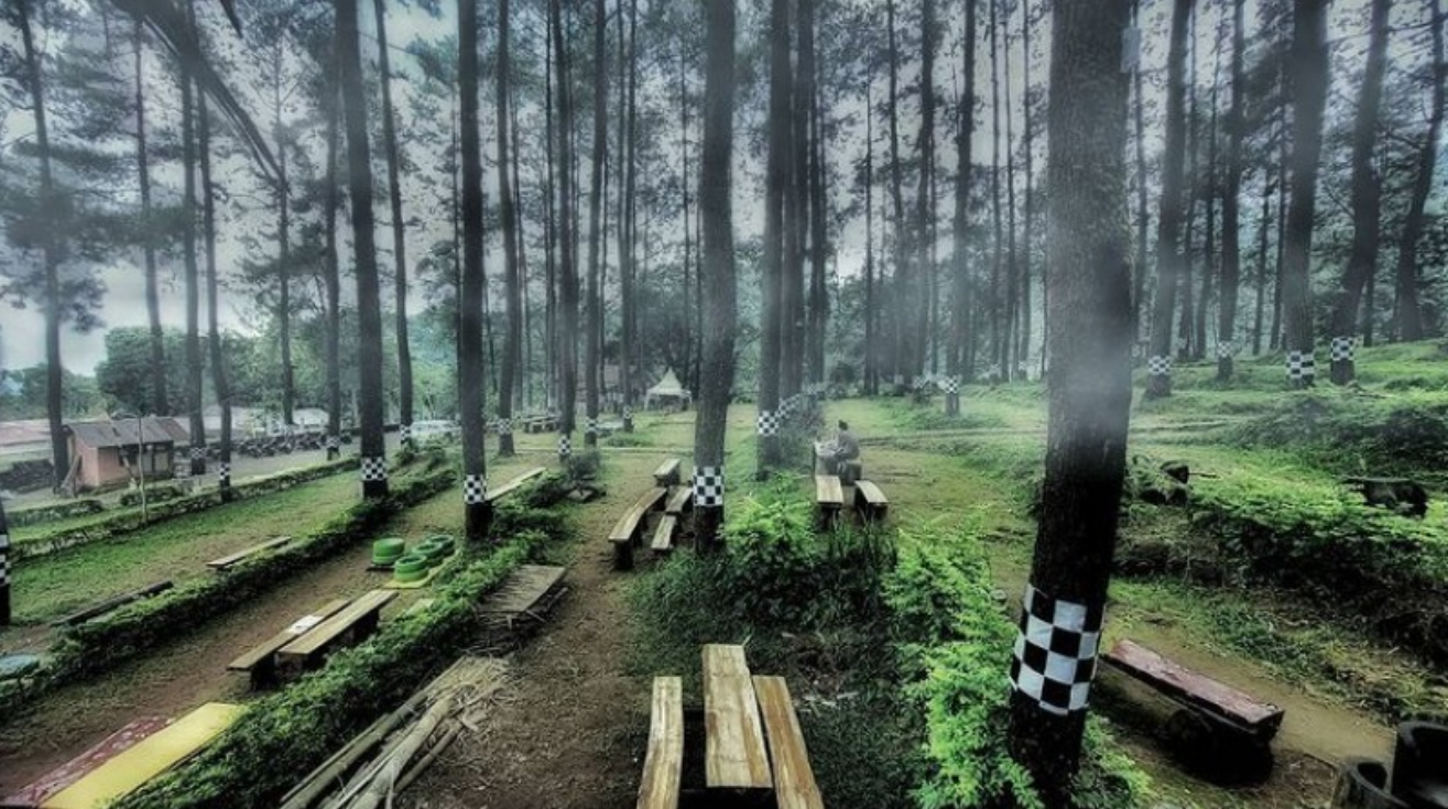 Hutan Pinus Baon Nglimut Gonoharjo