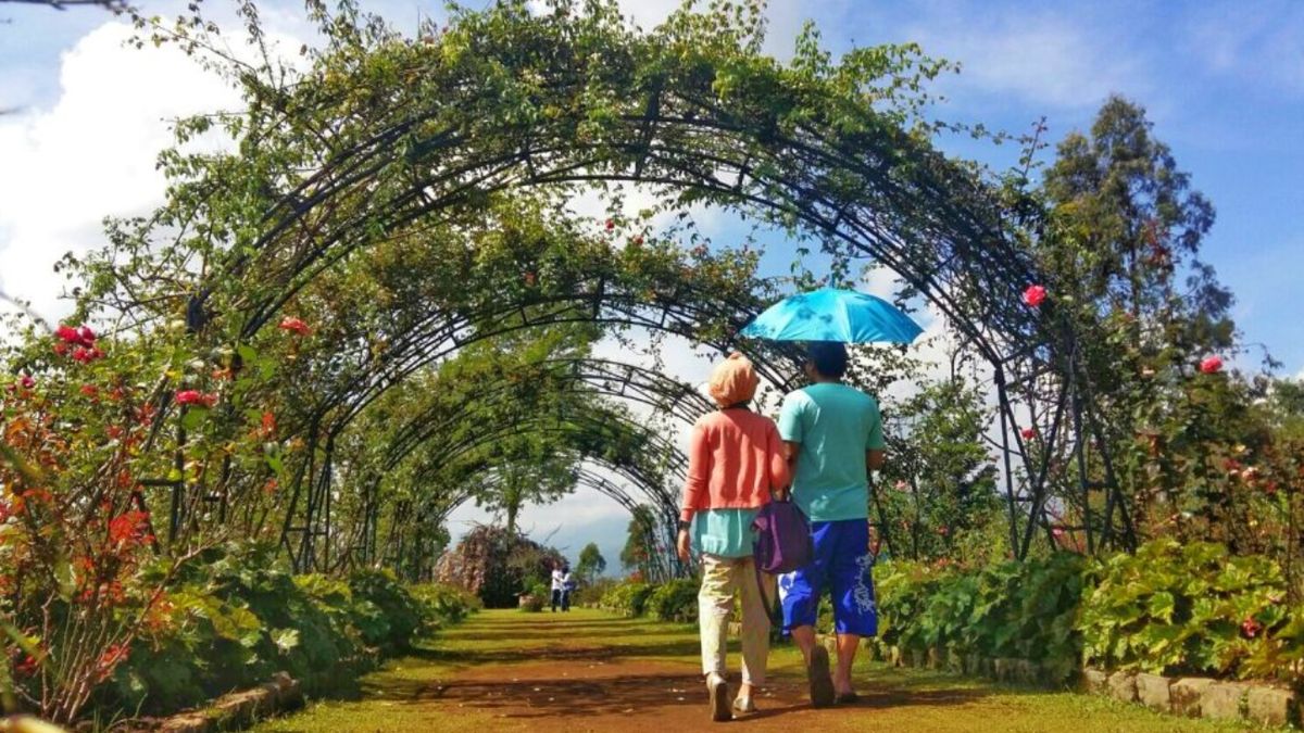 Kebun Mawar Situhapa