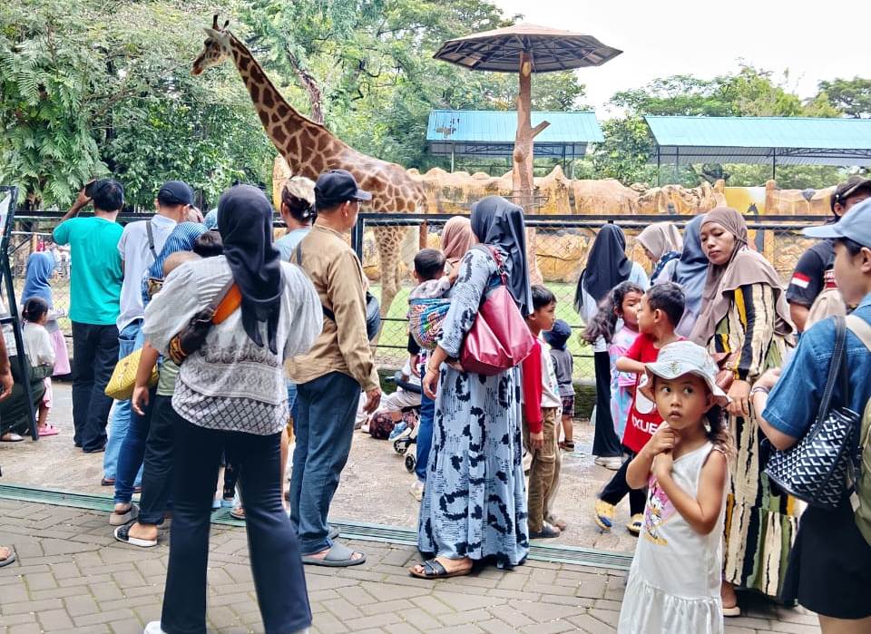 Wisata edukatif Surabaya Zoo.