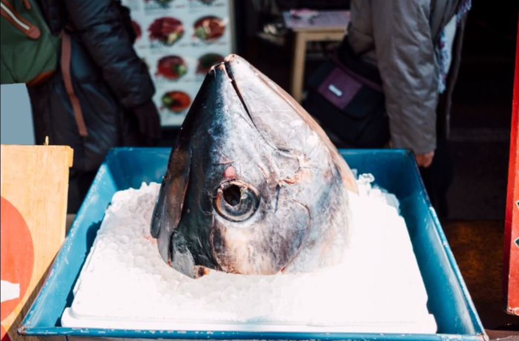 Ilustrasi penjualan ikan tuna