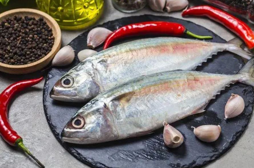 Ilustrasi ikan kembung yang punya banyak manfaat untuk kesehatan.