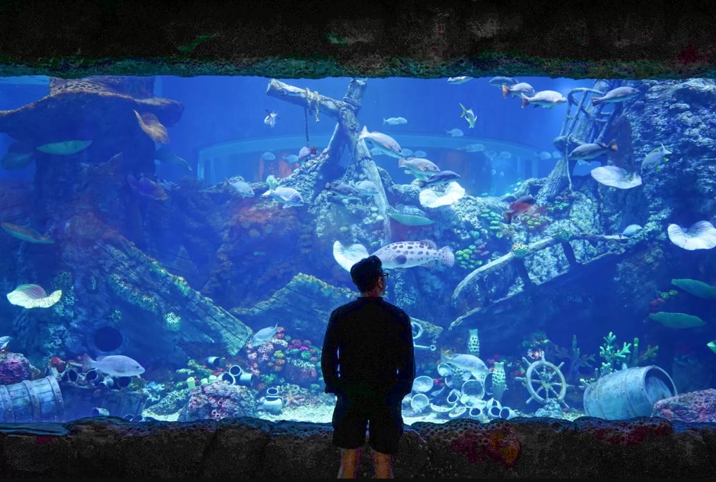 BXSea menawarkan wisata edukasi bertema kehidupan laut dengan aquarium terpanjang di Indonesia serta terowongan bawah laut terbesar di Asia Tenggara.