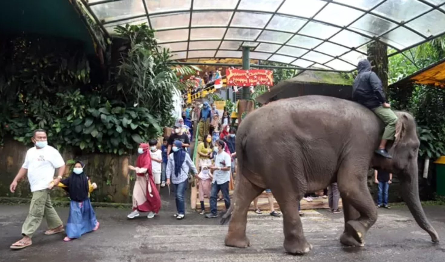 Taman safari bogor