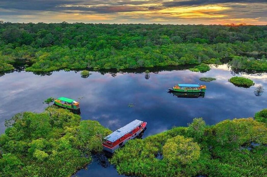 Taman Nasional Tanjung Puting