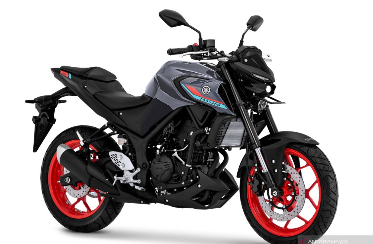 Yamaha MT-25