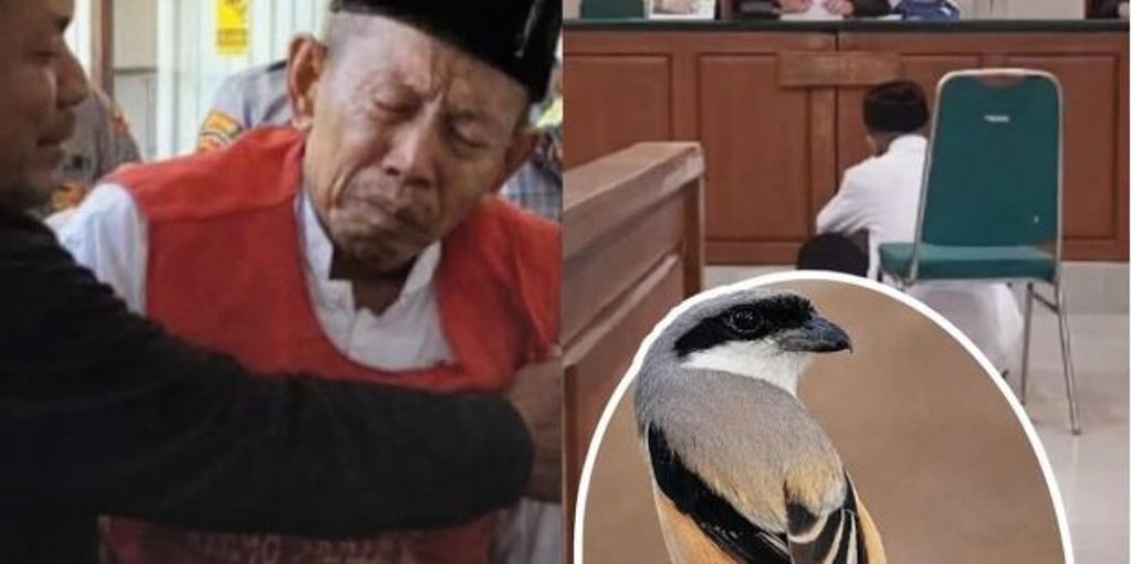 PN Situbondo menjatuhkan vonis kurungan penjara 5 bulan untuk Kakek Masir.
