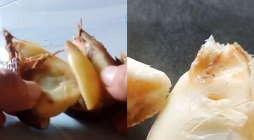 Buah salak dalam paket MBG di Pekalongan ditemukan berbelatung dan dikeluhkan wali murid. 