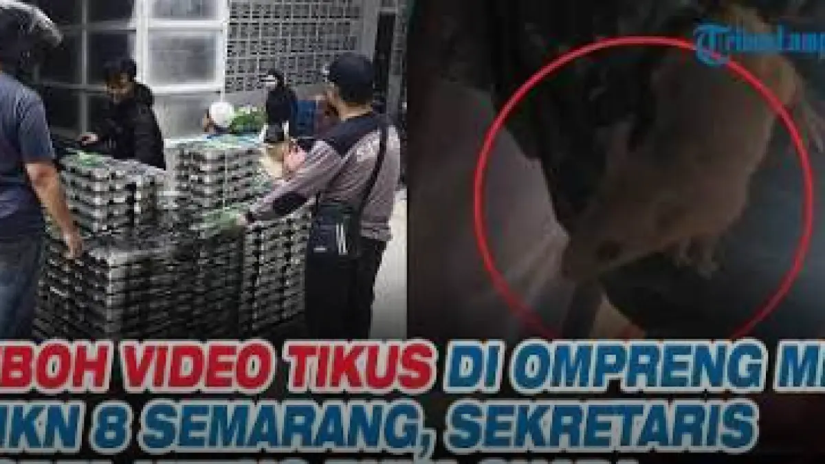 Tikus yang keluar dari boks berisi ompreng MBG di SMKN 8 Semarang.