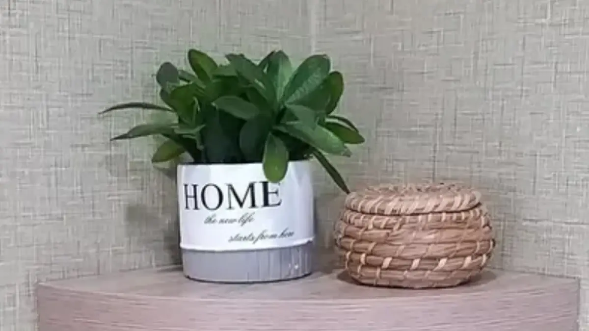 Rak Dinding Sudut 25 cm