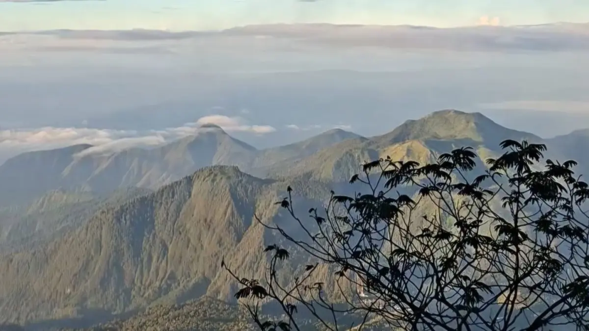Ilustrasi Pemandangan Dari Puncak Gunung Lawu (Nizaria/UNESA)