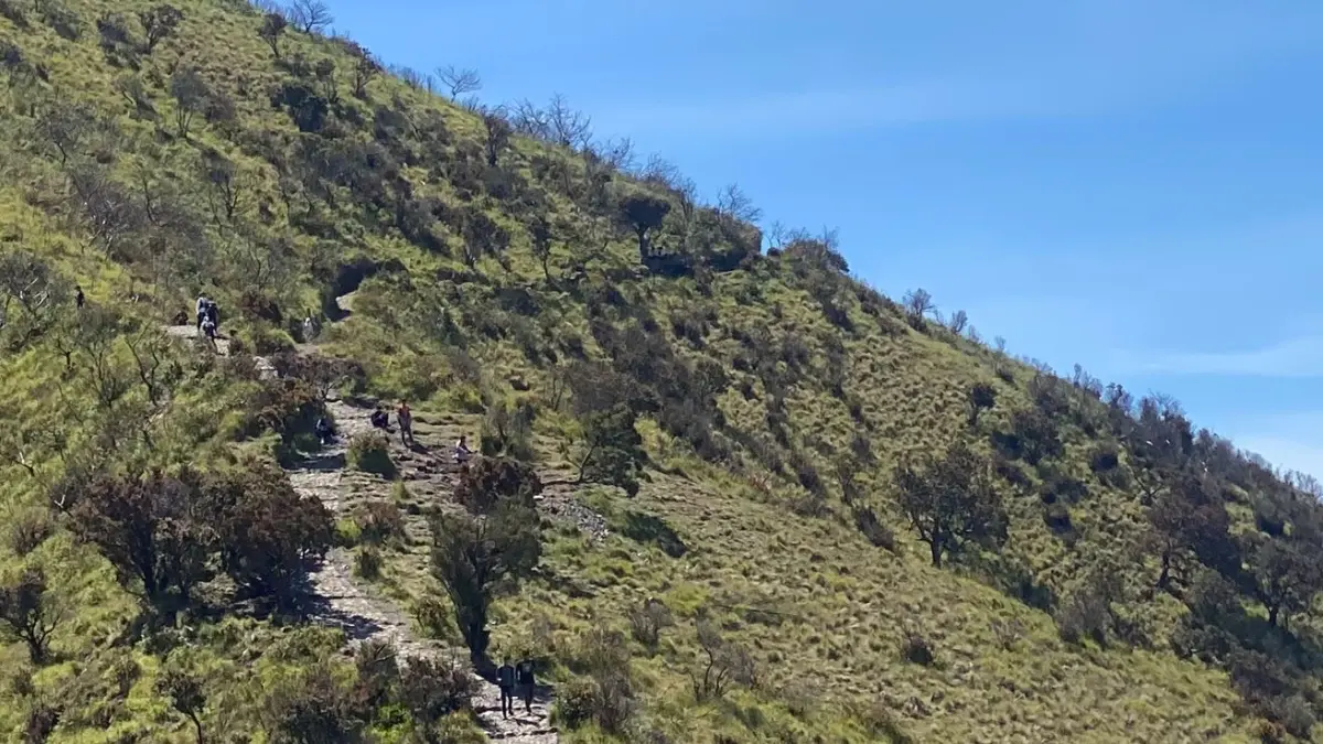 Pendaki melintasi jalur savana di Pos 5 Gunung Lawu via Cemoro Sewu. Area terbuka ini menjadi salah satu titik favorit untuk menikmati panorama pegunungan. Foto: Anggie Putri Wijayanti.