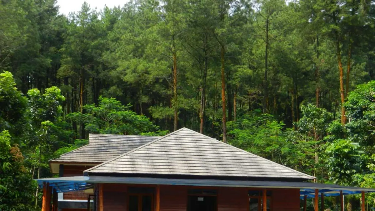 Source: hutansentul.com