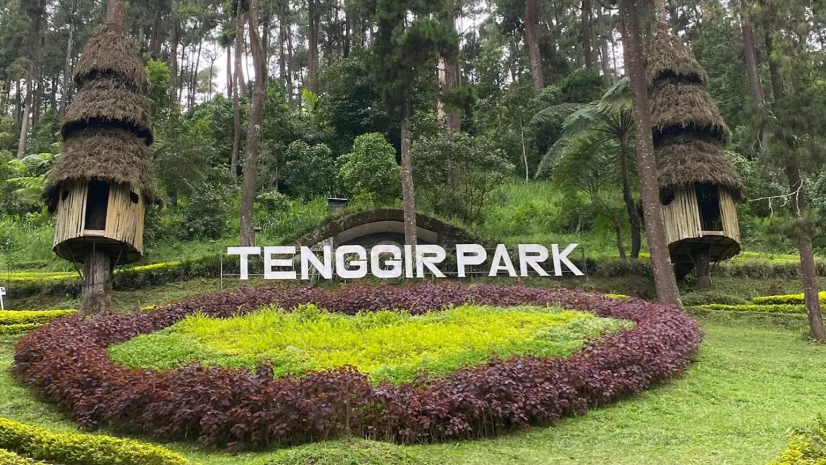 Suasana asri Tenggir Park di Tawangmangu dengan ikon rumah pohon raksasa yang menjadi daya tarik utama wisatawan. 
Foto: Anggie Putri Wijayanti.