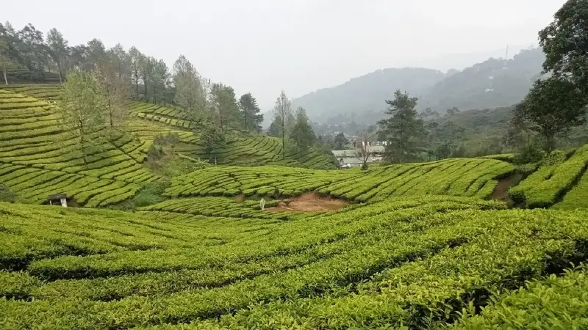 Source: traveloka.com