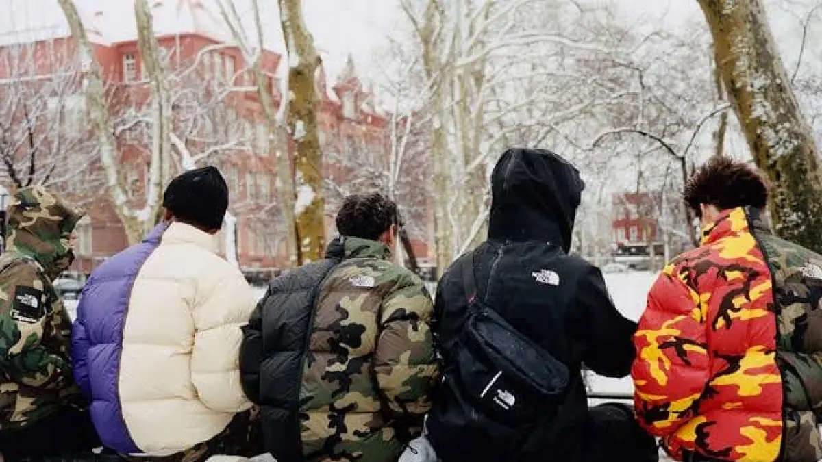 Supreme x The North Face