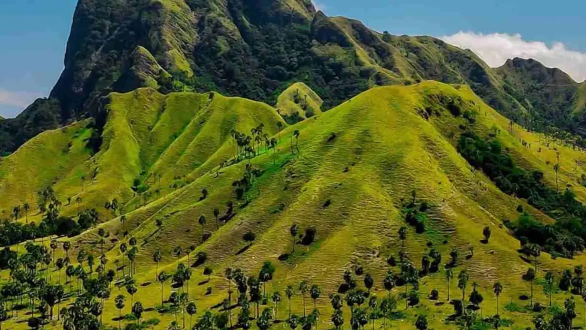 Source: Heaven Komodo