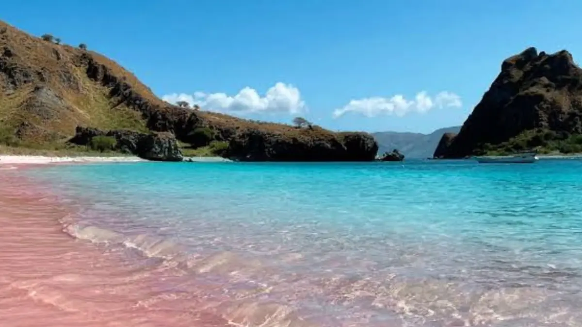 Source: Traveloka