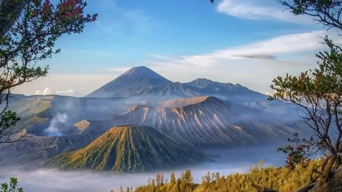 Gunung Bromo ditutup akibat karhutla. (ISTIMEWA)