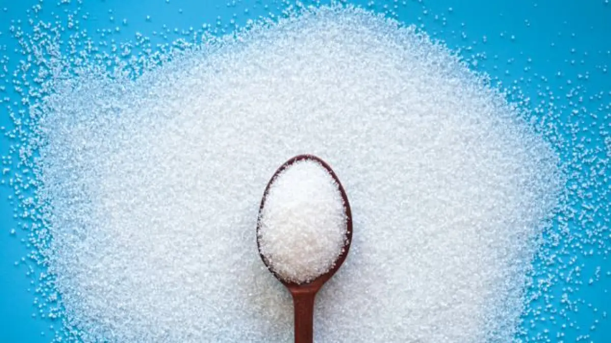 Source : m.planet-leponte.com
