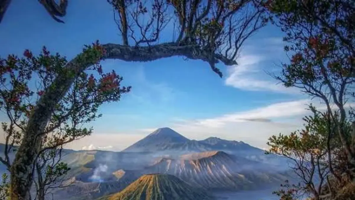 Source: Telkom University