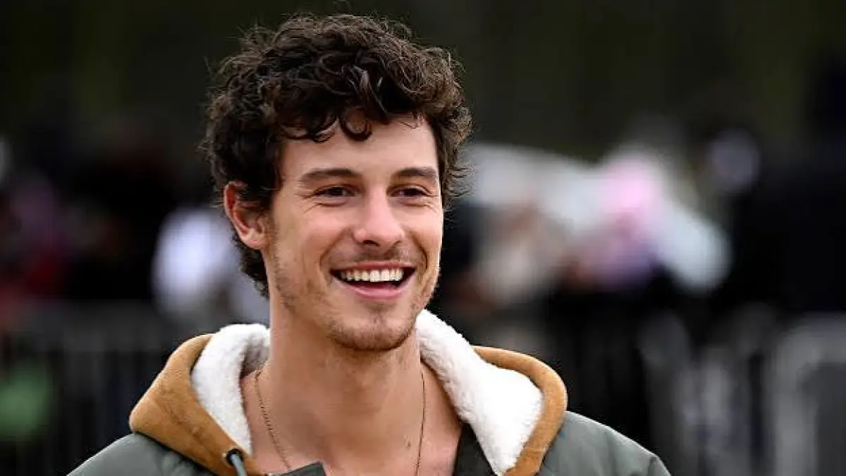 Potret Penyanyi Shawn Mendes