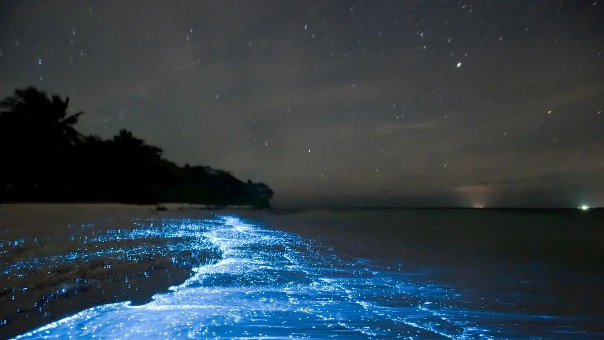 Source: Atlas Obscura