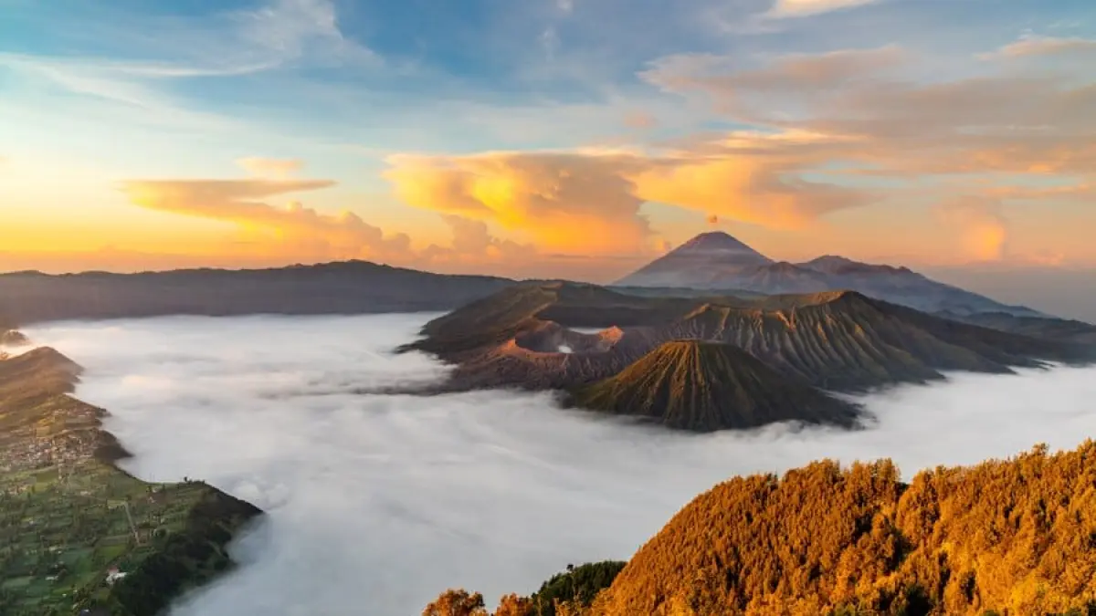 Bromo Hillside yang Menawarakan Daya Tarik bagi Wisatawan. Foto: 24travel.id