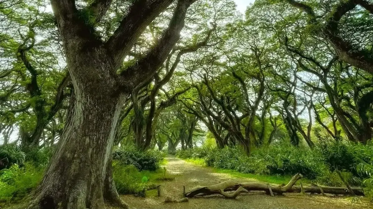 Source: 24Travel