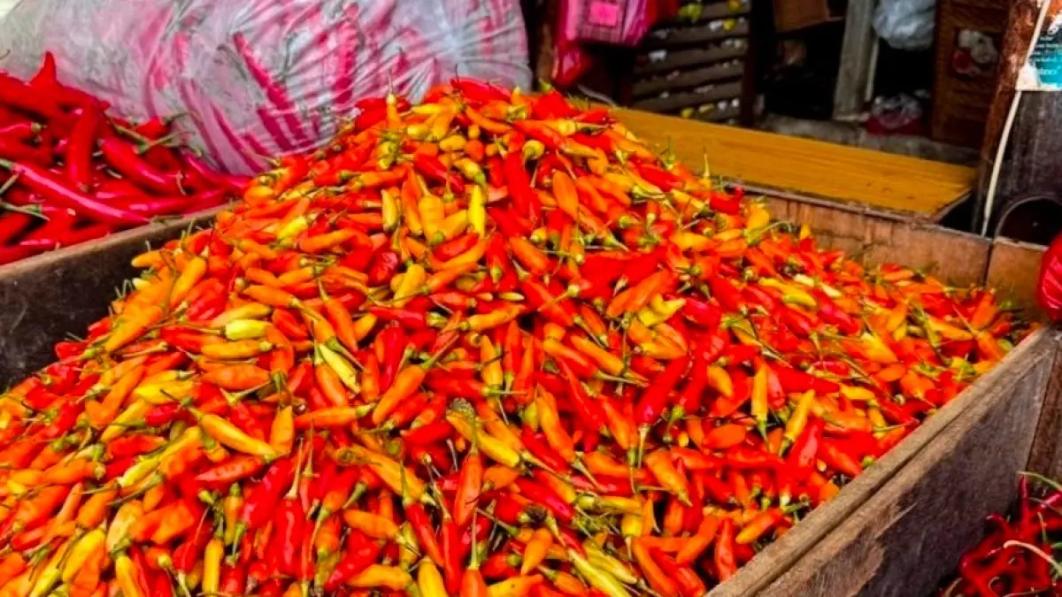Kenaikan harga cabai rawit dan komoditas lainnya hari ini. (ANTARA)