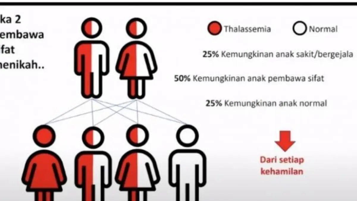 Talasemia Cegah Pada Keturunan. Foto: Rakyat Merdeka