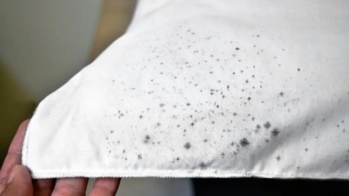 Bahayanya Jamur Bintik-Bintik Hitam di Baju. Foto: silverbobbin.com