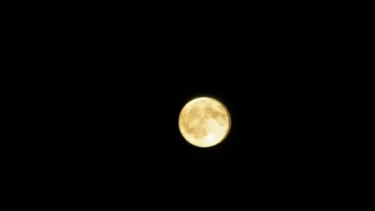 Bulan
Source : onyourm__ark