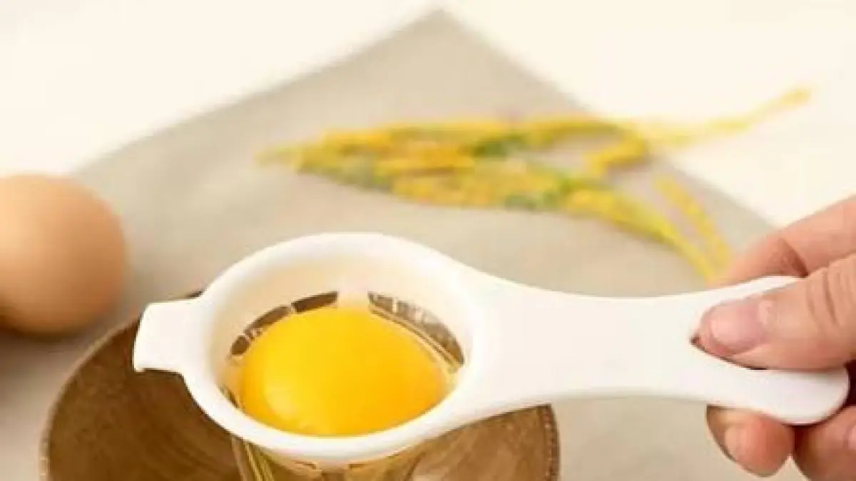 Alat Pemisah Kuning Telur Egg Sepraptor @Shopee
