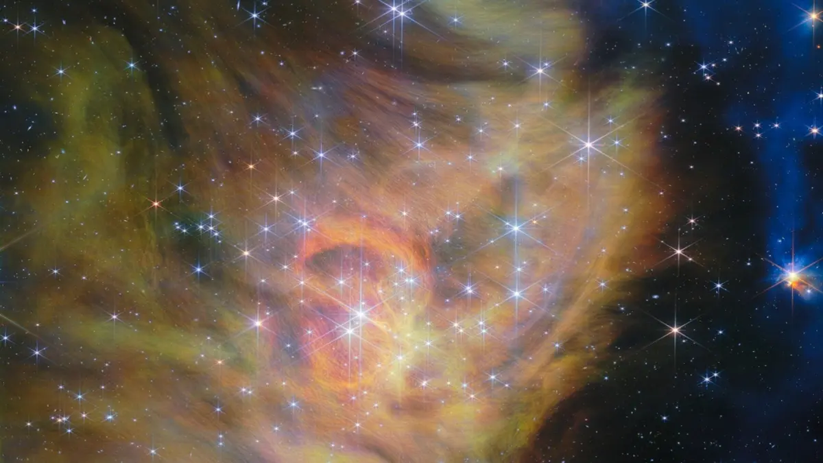 Brown Dwarfs 
Source : Nasa