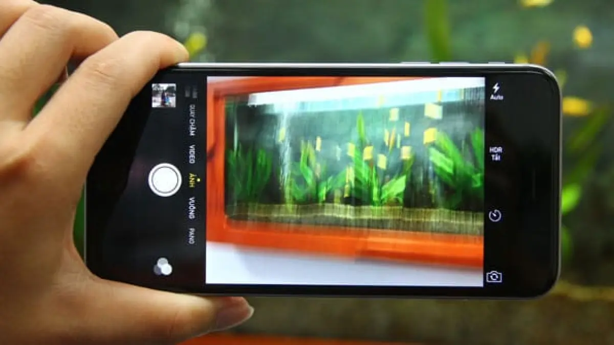 Kamera iPhone Kalian Tiba-Tiba Getar? Yuk Simak Penjelasan di Bawah ini!!!
sumber gambar: ifixied.com