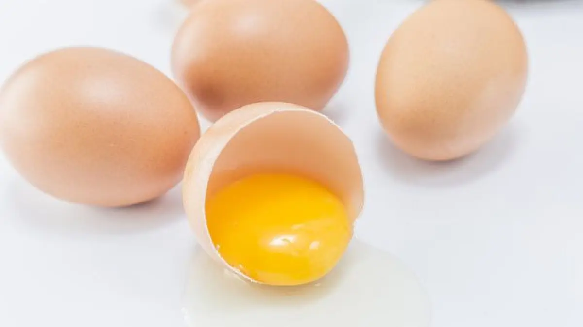 Kuning telur (PINTEREST)