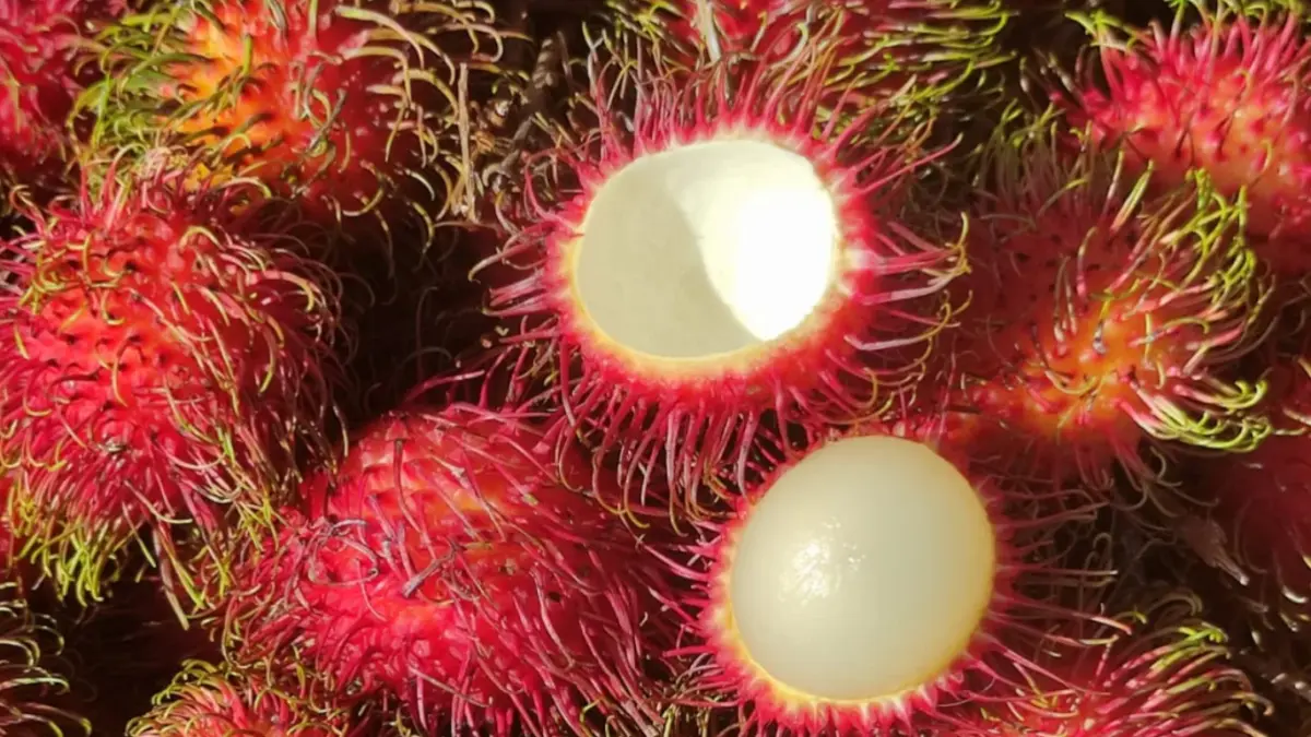 Rambutan
Source : pangananstore.id