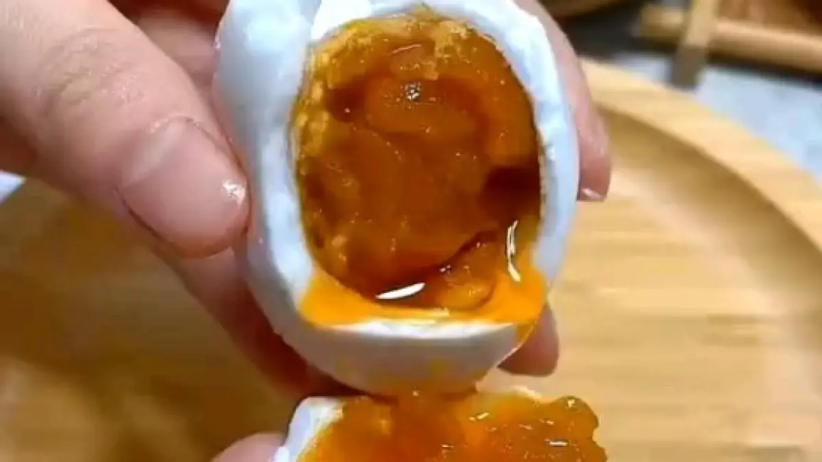 Ilustrasi Kuning Telur Asin Berminyak @Lazada