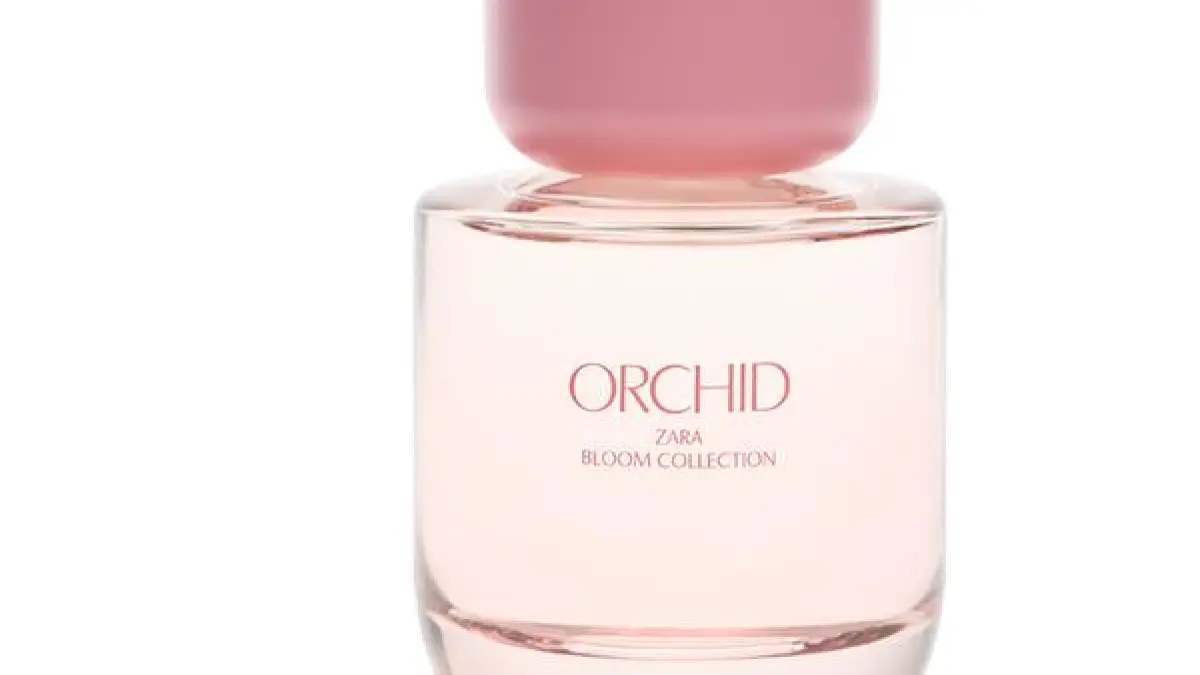 Ilustrasi Rekomendasi Parfum Wanita @Zara