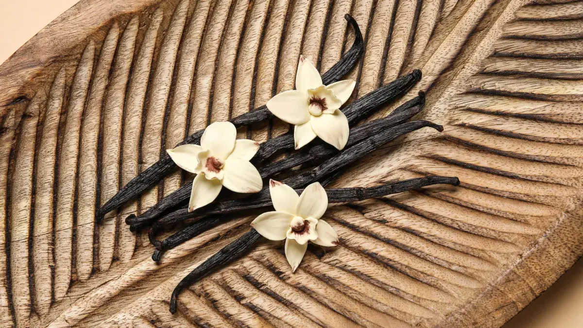 Vanillin dari vanila berpotensi membantu melawan infeksi dan peradangan pada luka (Shutterstock)