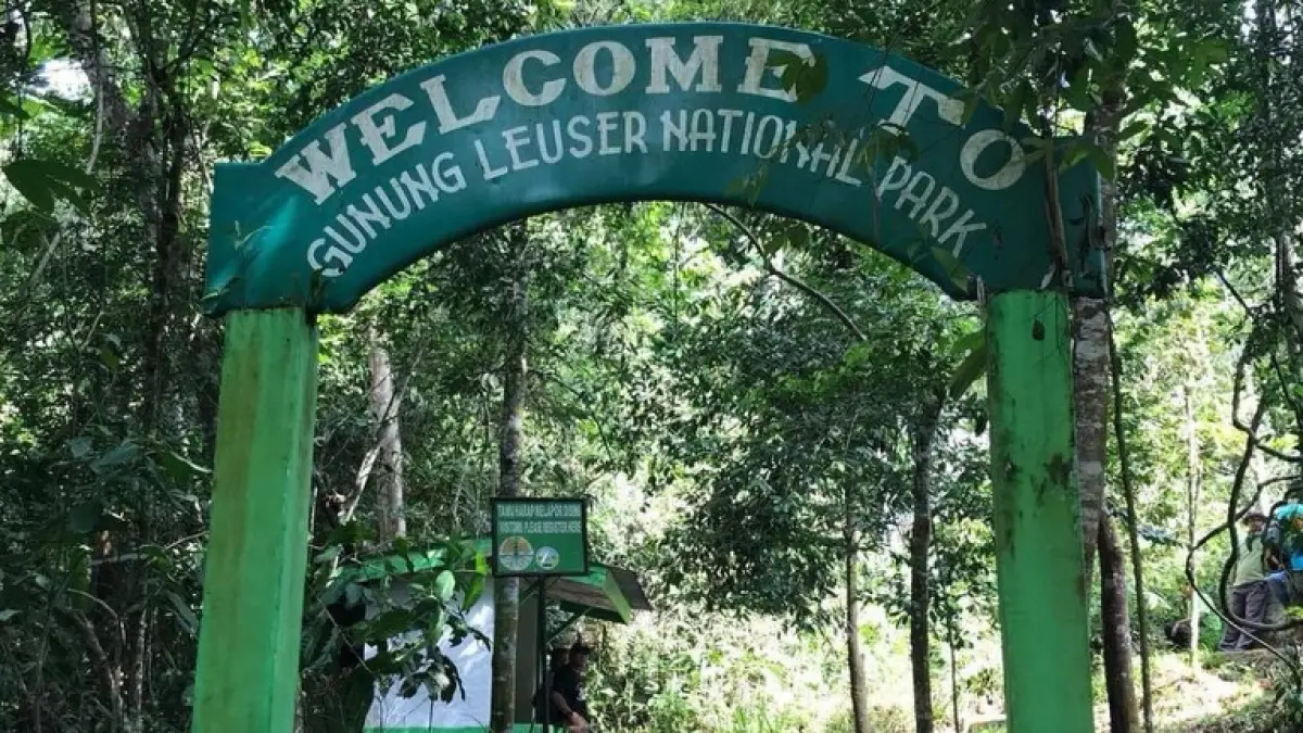 Taman Nasional Gunung Leuser, Surga Keanekaragaman Hayati dengan Hutan Tropis yang Memukau
