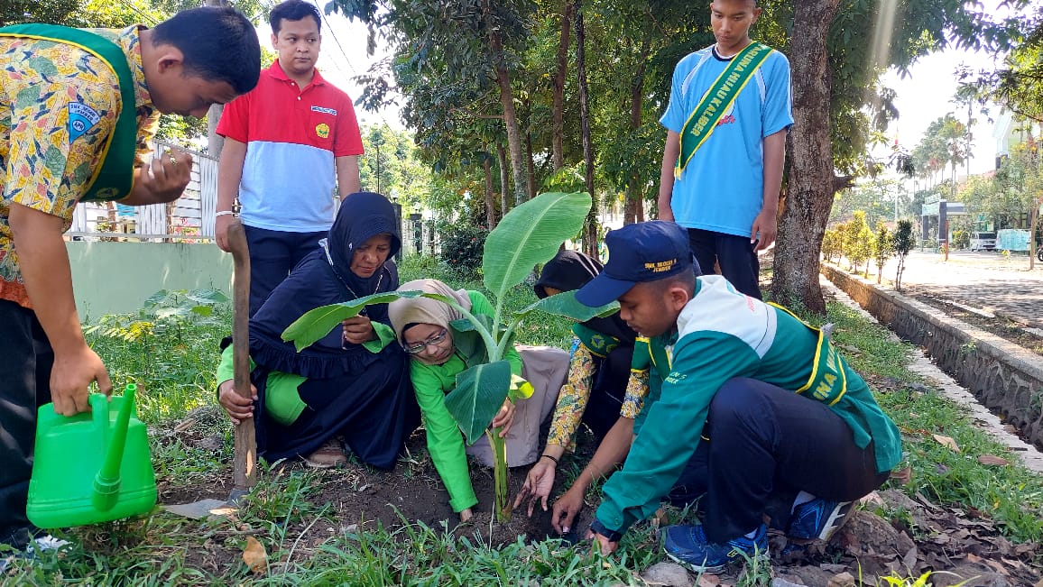 CINTAI LINGKUNGAN: Kegiatan penghijauan dengan penanaman pisang musa ingens di SMKN 5 Jember menjadi salah satu pokja yang ada di calon sekolah adiwiyata provinsi tersebut.