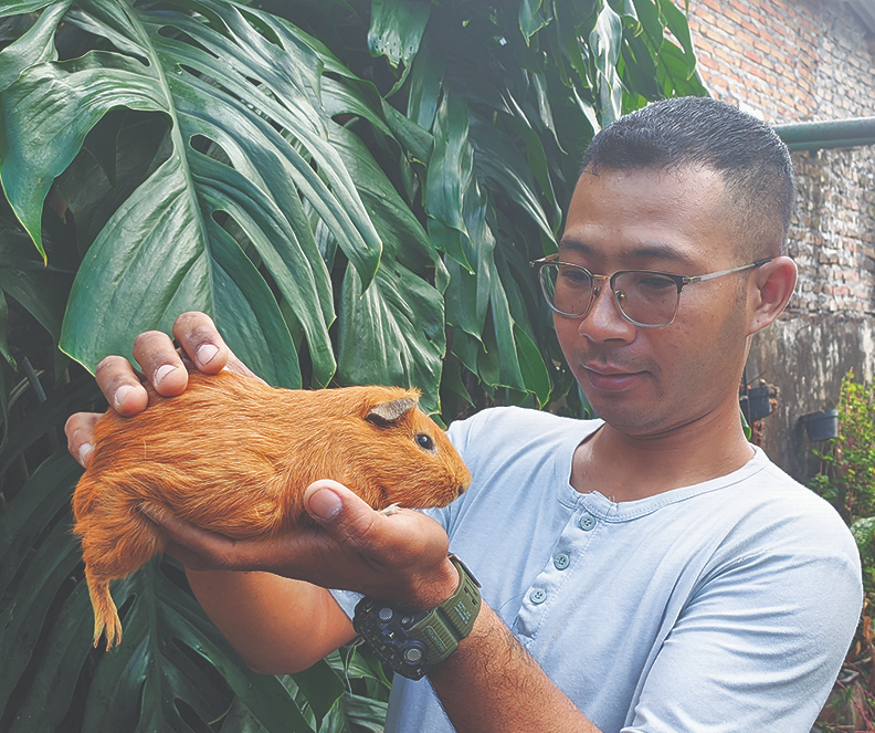 BANYAK JENISNYA: Ahmad Kemal Maulana menunjukkan beberapa jenis marmot yang menggemaskan dengan corak warna beragam.