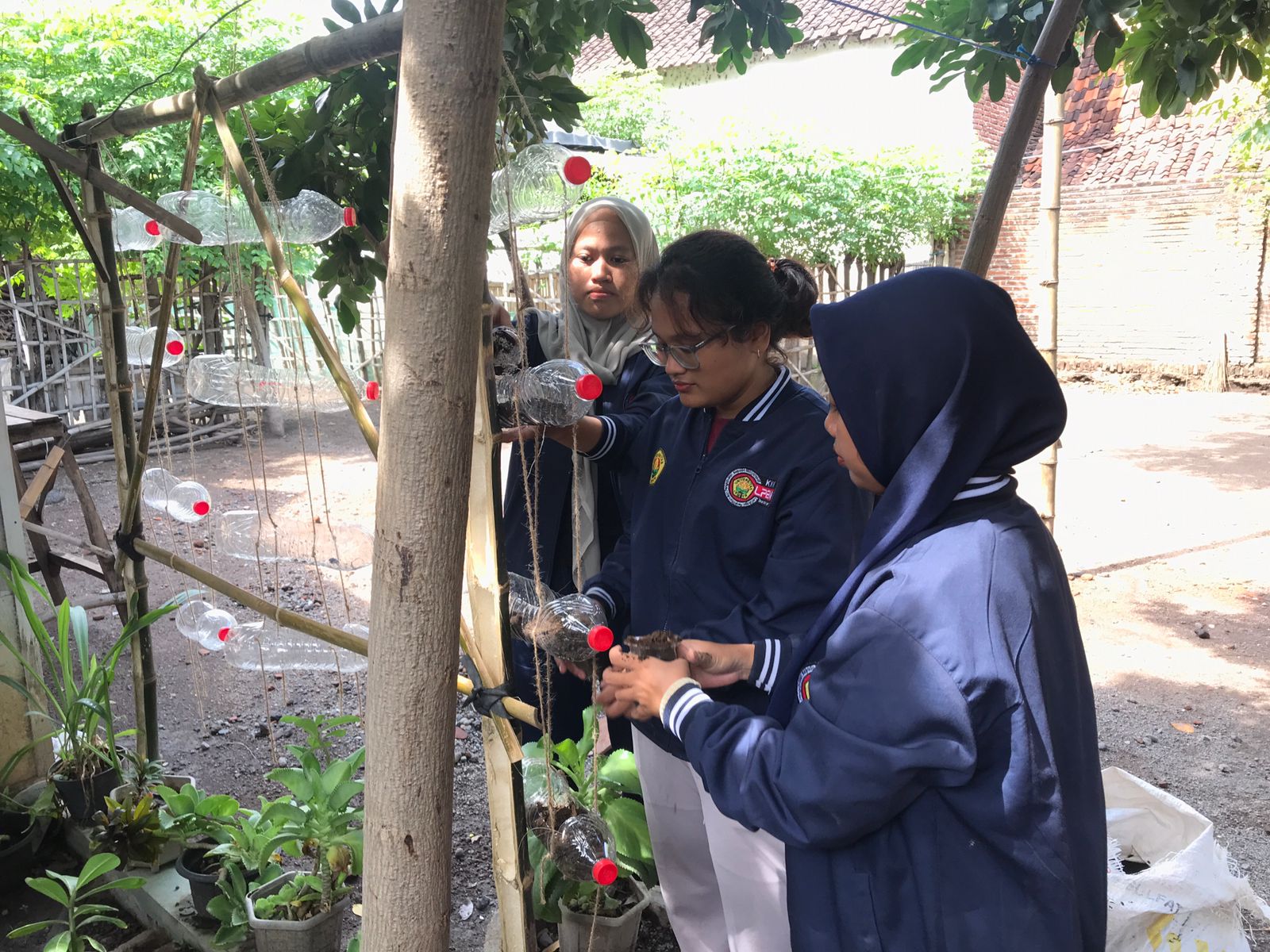 KKN UMD Unej Kelompok 33, membuat wadah dari botol plastik untuk tanaman hortikultura di pekarangan rumah warga Desa Kayuputih, Kabupaten Situbondo