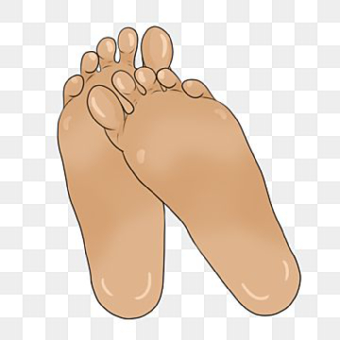 Ilustrasi kaki (Foto : Pinterest)
