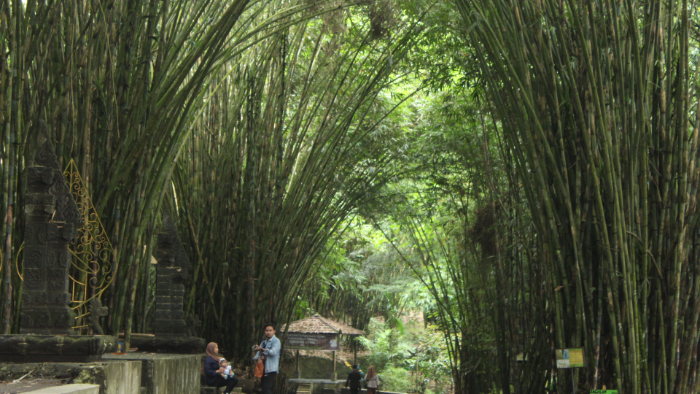 TERJAGA KEASRIANNYA: Penampakan beberapa titik spot wisata hutan bambu, di Desa Sumbermujur, Kecamatan Pronojiwo. (MUHAMMAD HASBI/RADAR SEMERU)