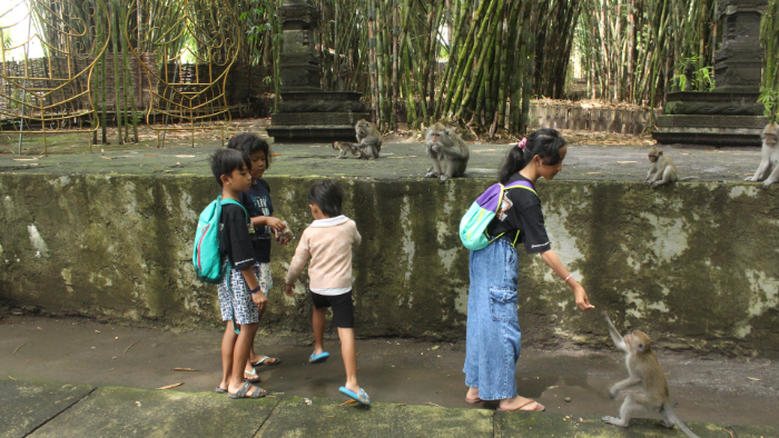 SAPA SATWA: Pengunjung wisata berinteraksi dengan monyet ekor panjang dan dapat juga menjadi tempat rekreasi anak-anak. (MUHAMMAD HASBI/RADAR SEMERU )